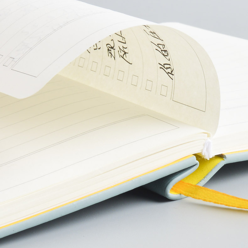 GBF1038  A6  UNDATED  LINED PLANNER