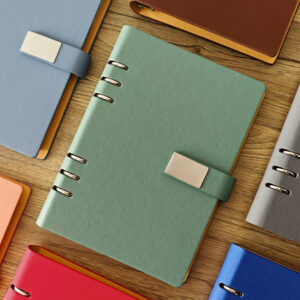 GBF1034  A5  LOOSE-LEAF  LINED NOTEBOOK