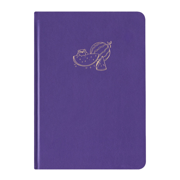 GBF2049 A5 WATERMELON DOT GRID NOTEBOOK