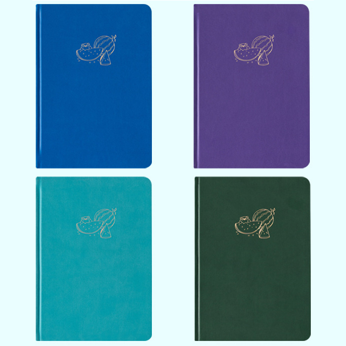 GBF2049 A5 WATERMELON DOT GRID NOTEBOOK