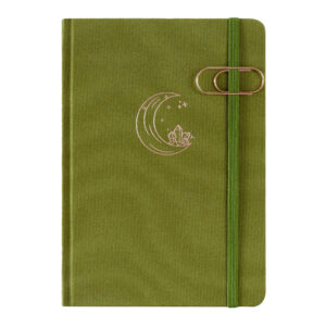GBF2032 A5  UNDATED PLANNER