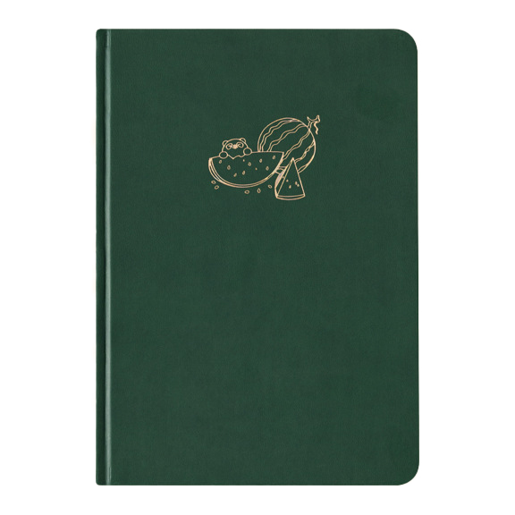 GBF2049 A5 WATERMELON DOT GRID NOTEBOOK